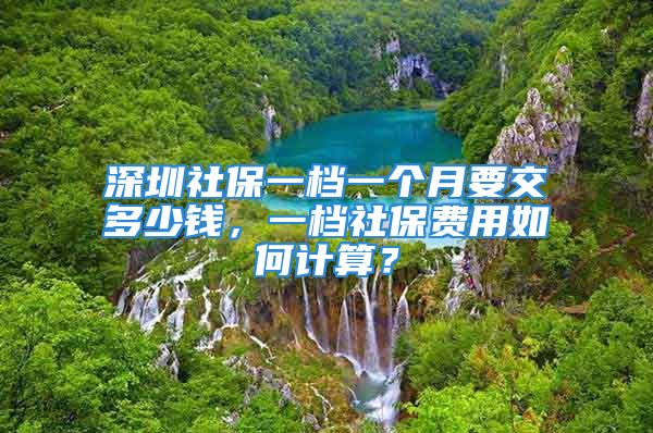 深圳社保一档一个月要交多少钱，一档社保费用如何计算？