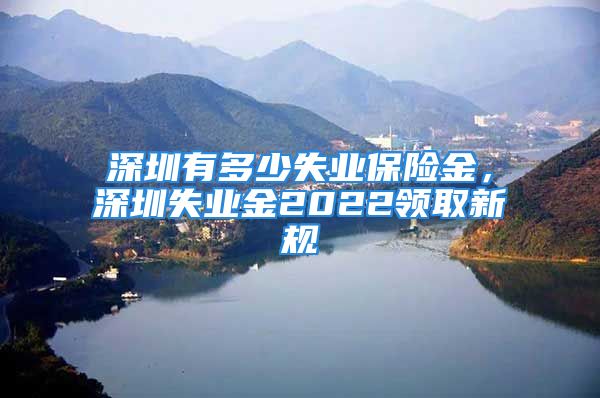 深圳有多少失业保险金，深圳失业金2022领取新规