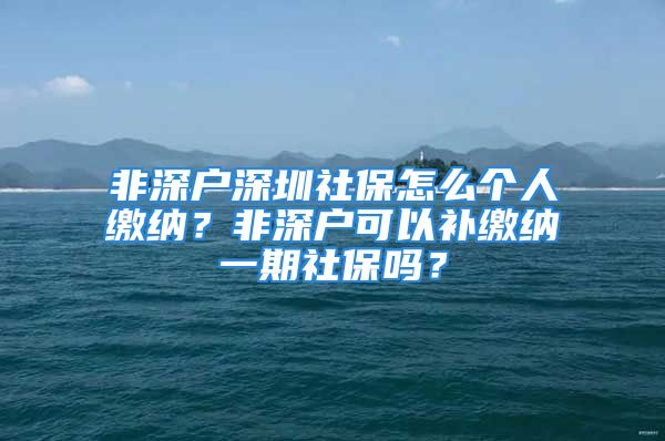 非深户深圳社保怎么个人缴纳？非深户可以补缴纳一期社保吗？