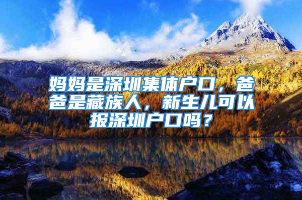 妈妈是深圳集体户口，爸爸是藏族人，新生儿可以报深圳户口吗？