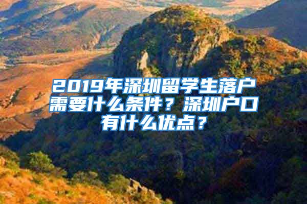 2019年深圳留学生落户需要什么条件？深圳户口有什么优点？