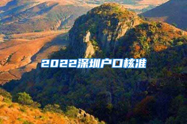 2022深圳户口核准