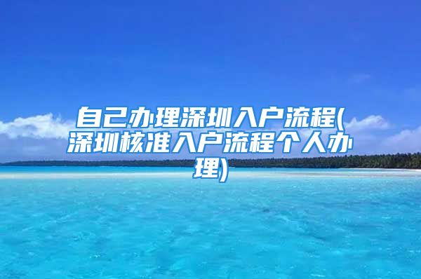 自己办理深圳入户流程(深圳核准入户流程个人办理)