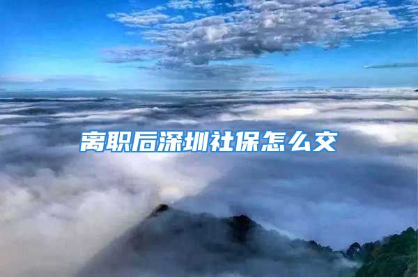 离职后深圳社保怎么交