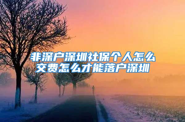 非深户深圳社保个人怎么交费怎么才能落户深圳