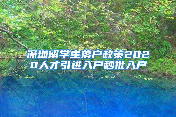 深圳留学生落户政策2020人才引进入户秒批入户