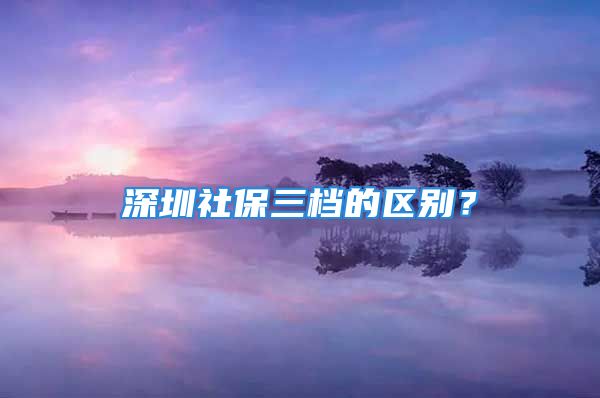 深圳社保三档的区别？