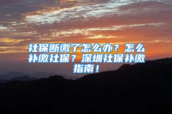 社保断缴了怎么办？怎么补缴社保？深圳社保补缴指南！