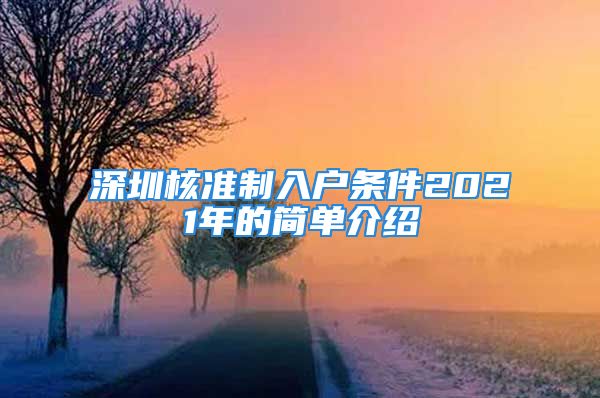 深圳核准制入户条件2021年的简单介绍