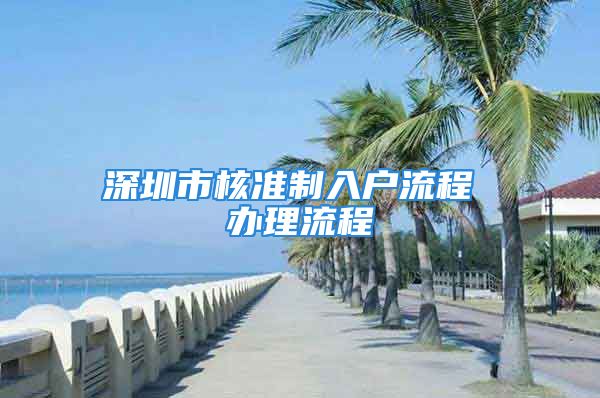 深圳市核准制入户流程 办理流程