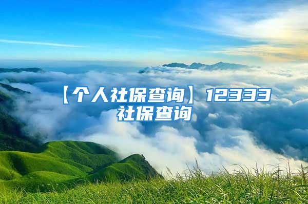 【个人社保查询】12333社保查询