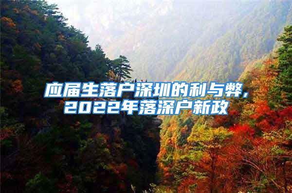 应届生落户深圳的利与弊,2022年落深户新政