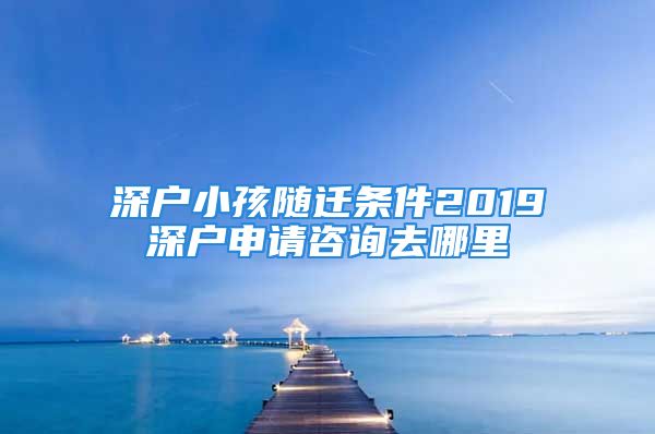 深户小孩随迁条件2019深户申请咨询去哪里