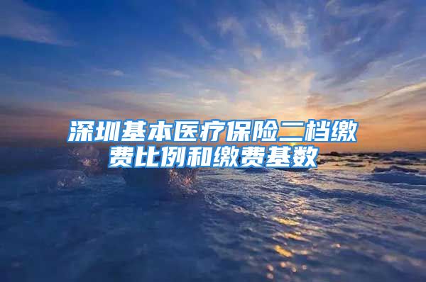 深圳基本医疗保险二档缴费比例和缴费基数