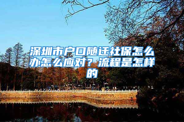 深圳市户口随迁社保怎么办怎么应对？流程是怎样的