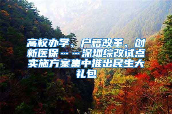 高校办学、户籍改革、创新医保……深圳综改试点实施方案集中推出民生大礼包