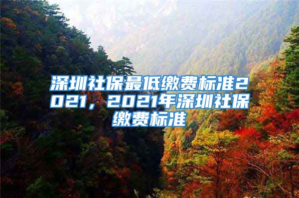 深圳社保最低缴费标准2021，2021年深圳社保缴费标准