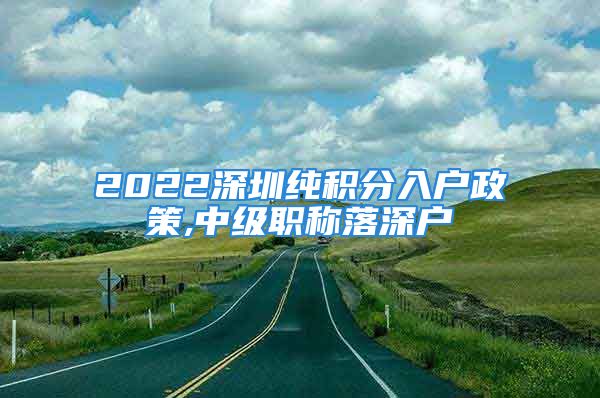 2022深圳纯积分入户政策,中级职称落深户