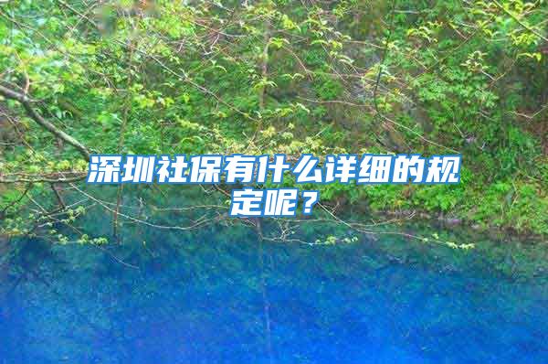 深圳社保有什么详细的规定呢？