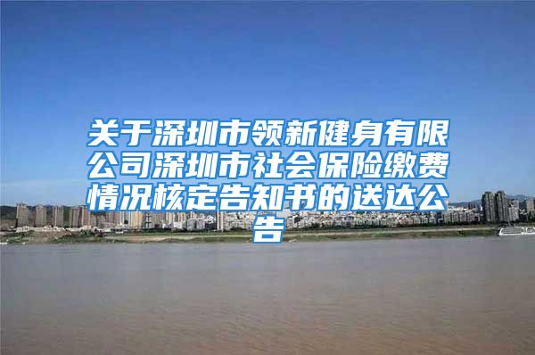 关于深圳市领新健身有限公司深圳市社会保险缴费情况核定告知书的送达公告