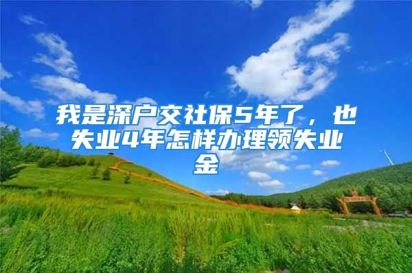 我是深户交社保5年了，也失业4年怎样办理领失业金