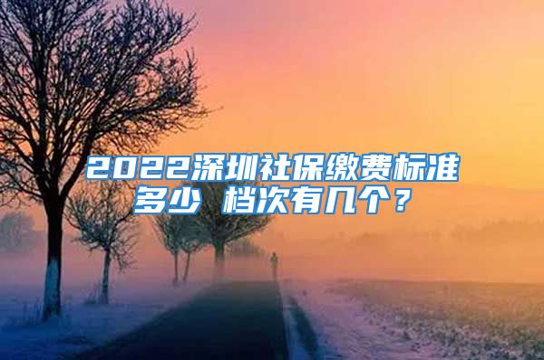 2022深圳社保缴费标准多少 档次有几个？