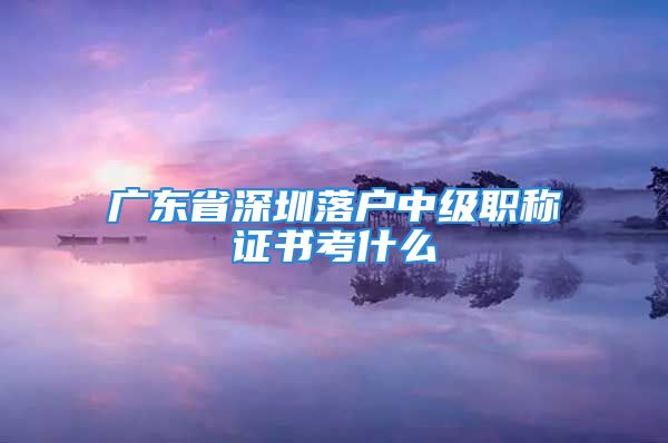 广东省深圳落户中级职称证书考什么