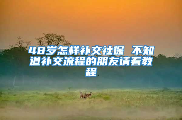 48岁怎样补交社保 不知道补交流程的朋友请看教程