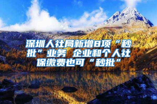 深圳人社局新增8项“秒批”业务 企业和个人社保缴费也可“秒批”