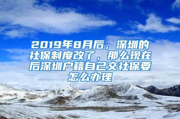 2019年8月后，深圳的社保制度改了，那么现在后深圳户籍自己交社保要怎么办理