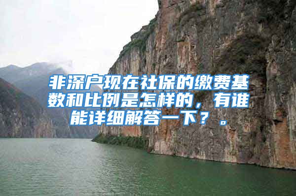 非深户现在社保的缴费基数和比例是怎样的，有谁能详细解答一下？。