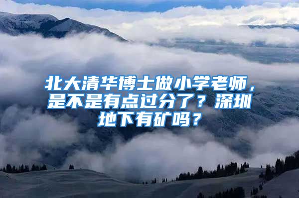 北大清华博士做小学老师，是不是有点过分了？深圳地下有矿吗？