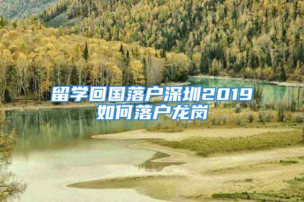 留学回国落户深圳2019如何落户龙岗