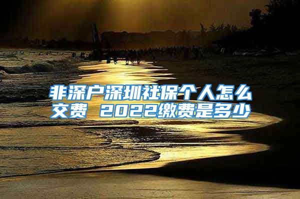 非深户深圳社保个人怎么交费 2022缴费是多少