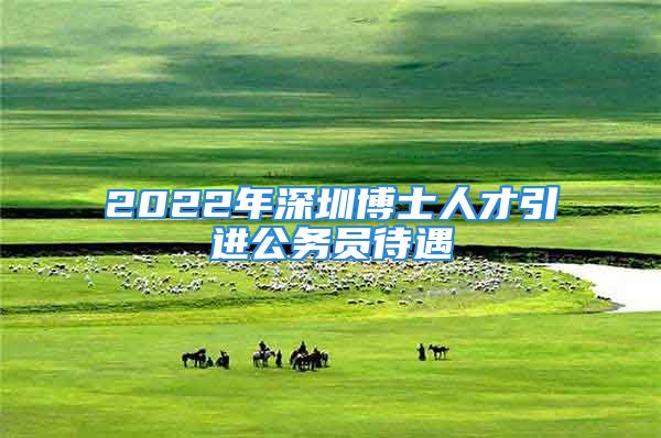 2022年深圳博士人才引进公务员待遇