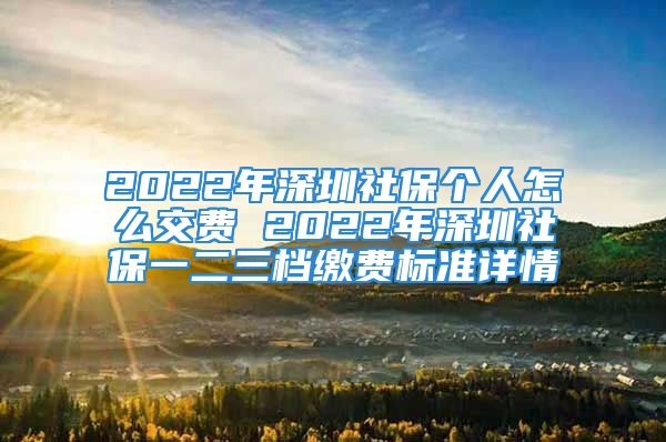 2022年深圳社保个人怎么交费 2022年深圳社保一二三档缴费标准详情