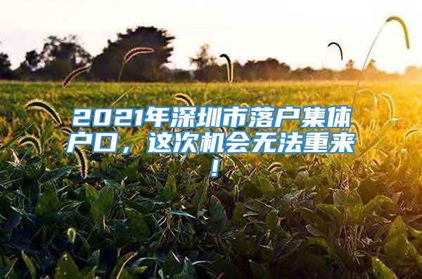 2021年深圳市落户集体户口，这次机会无法重来！