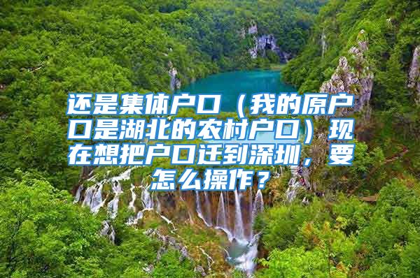 还是集体户口（我的原户口是湖北的农村户口）现在想把户口迁到深圳，要怎么操作？