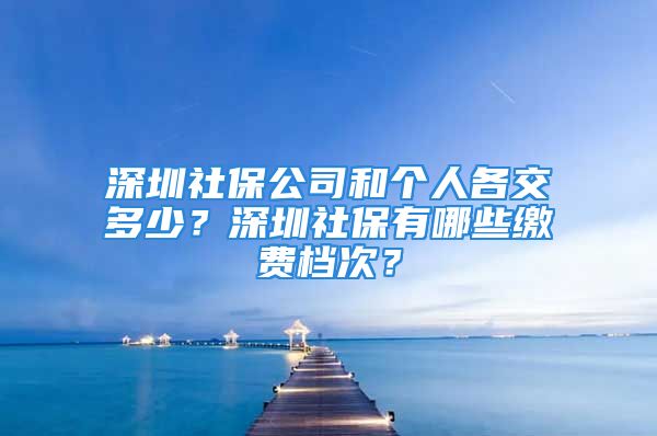 深圳社保公司和个人各交多少？深圳社保有哪些缴费档次？