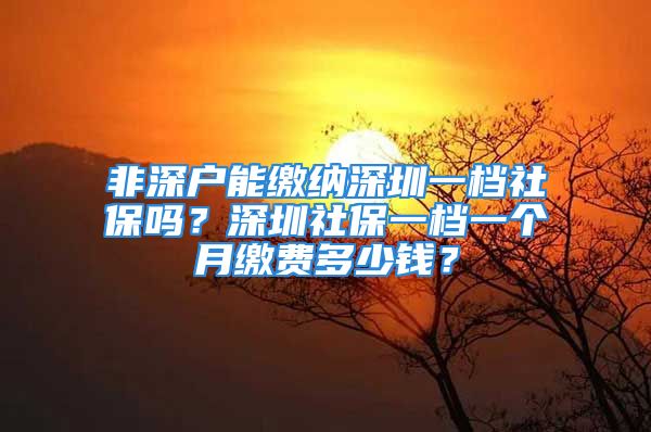 非深户能缴纳深圳一档社保吗？深圳社保一档一个月缴费多少钱？