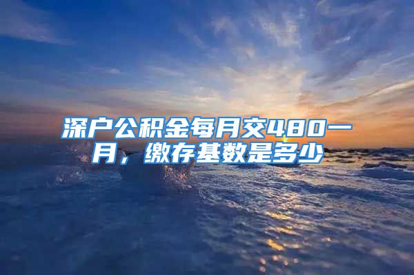 深户公积金每月交480一月，缴存基数是多少