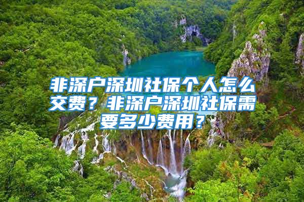 非深户深圳社保个人怎么交费？非深户深圳社保需要多少费用？