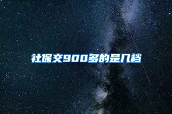 社保交900多的是几档