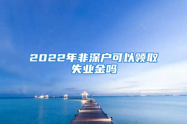 2022年非深户可以领取失业金吗