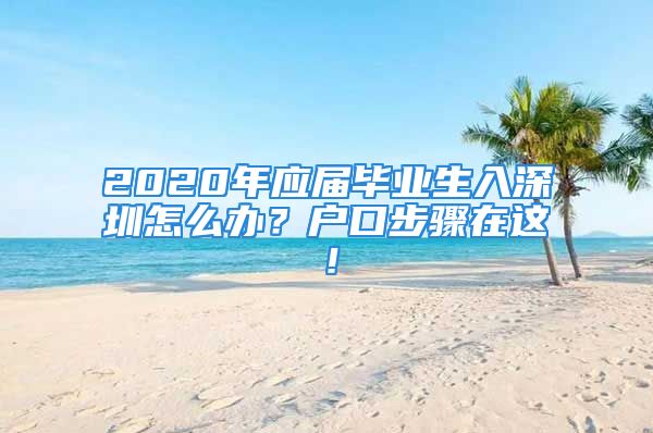 2020年应届毕业生入深圳怎么办？户口步骤在这！