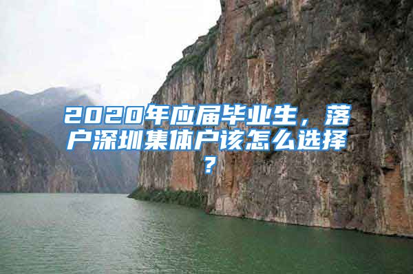 2020年应届毕业生，落户深圳集体户该怎么选择？