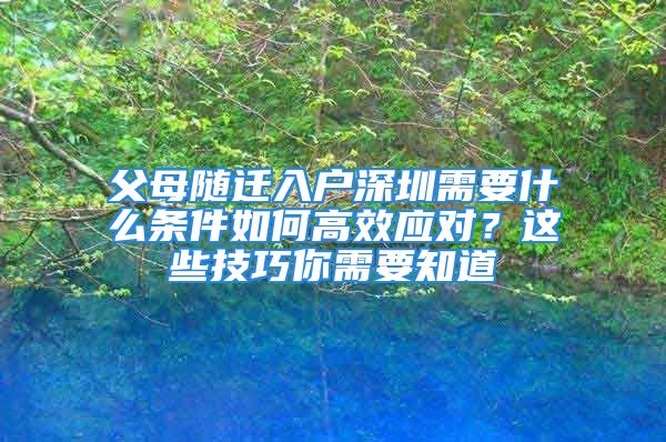 父母随迁入户深圳需要什么条件如何高效应对？这些技巧你需要知道