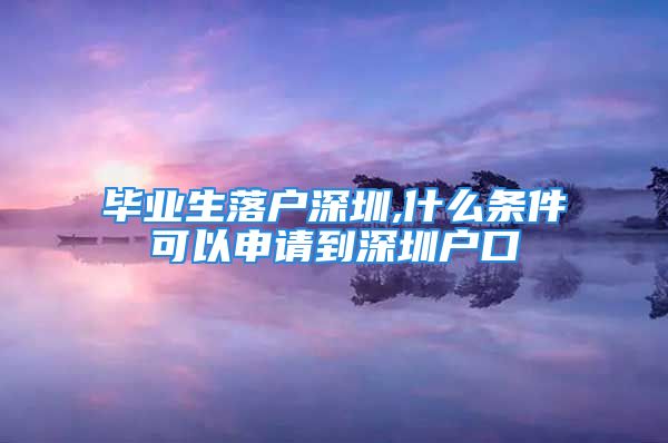 毕业生落户深圳,什么条件可以申请到深圳户口