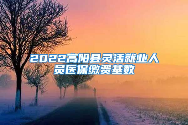 2022高阳县灵活就业人员医保缴费基数