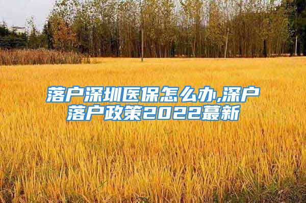 落户深圳医保怎么办,深户落户政策2022蕞新